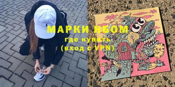 молекула духа Пересвет
