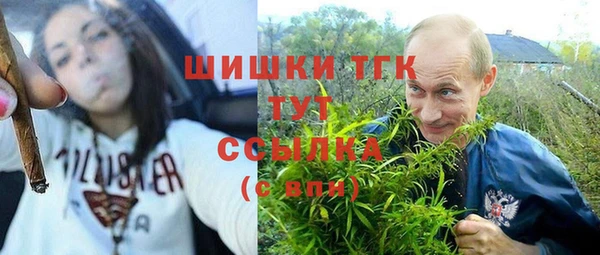 экстази Арсеньев