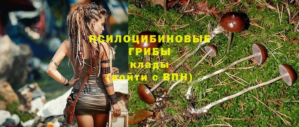 экстази Арсеньев