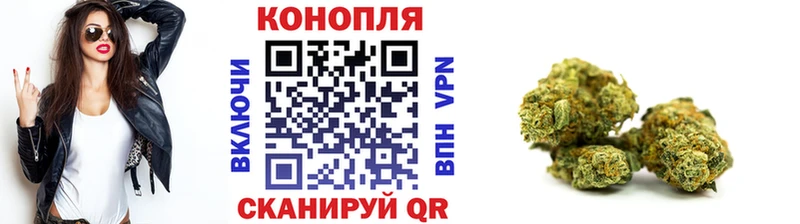 где найти наркотики  Балтийск  Марихуана марихуана 